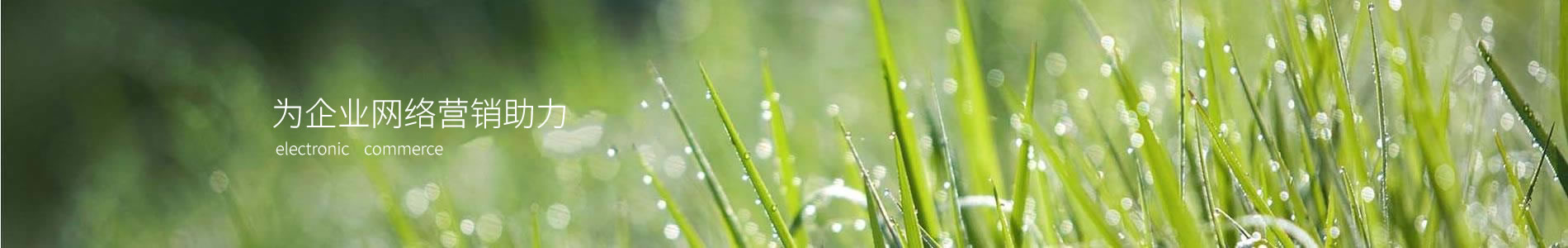 ָƼ޹˾